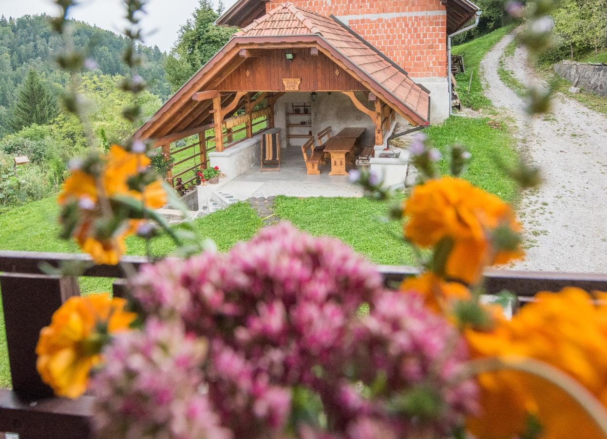 Farm Stay Zagar Mozirje Exterior foto