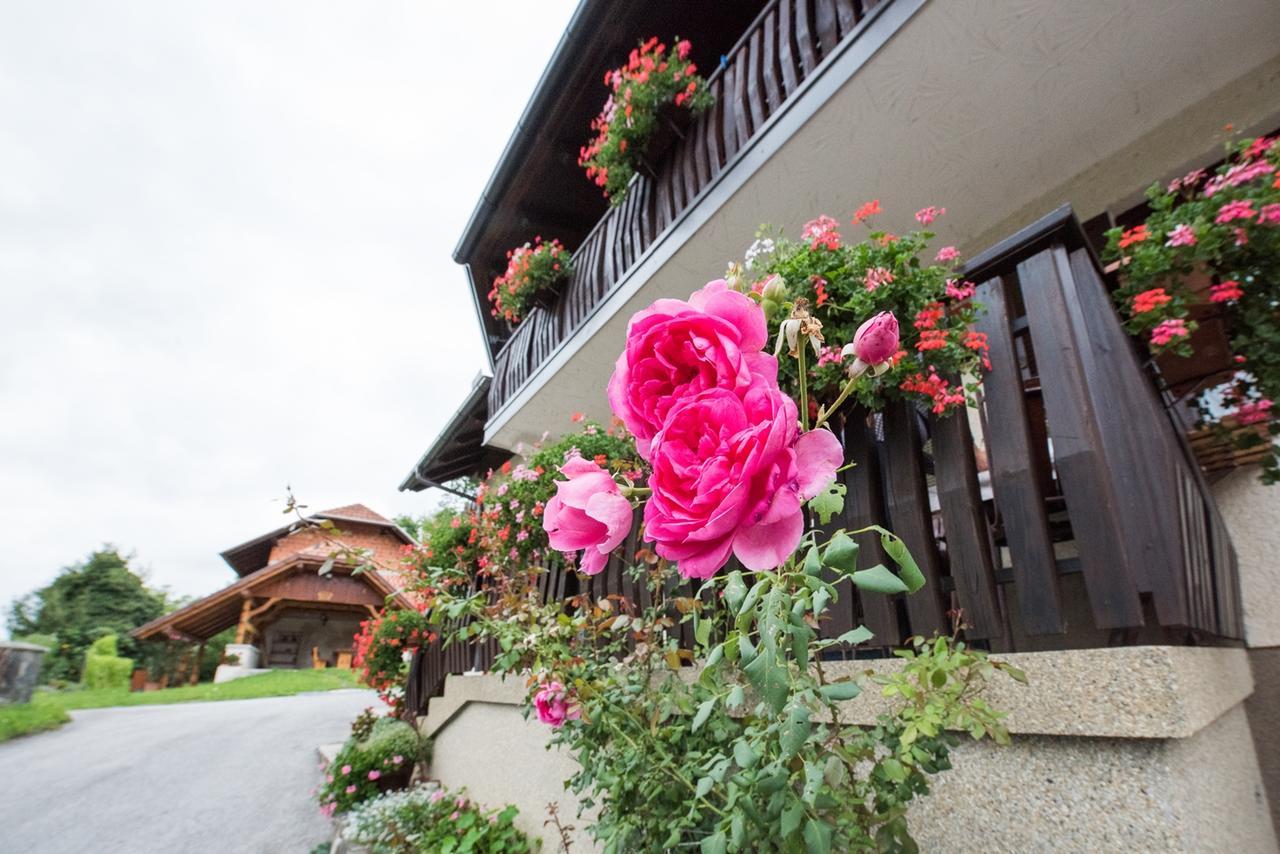 Farm Stay Zagar Mozirje Exterior foto